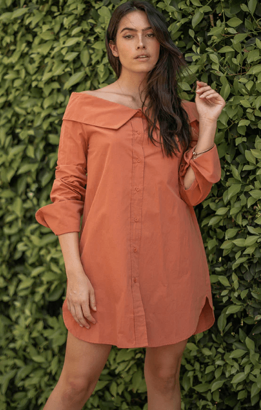 Sienna Shirt Dress - Sono Chic